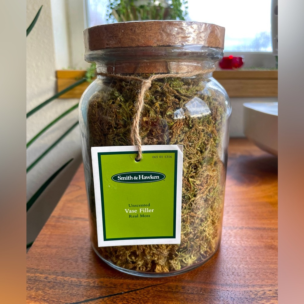 Real Moss Vase Filler